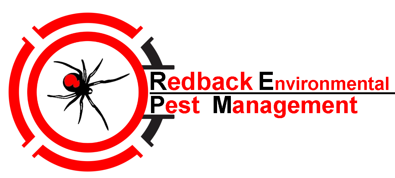 Redback Environmental Pest Management |